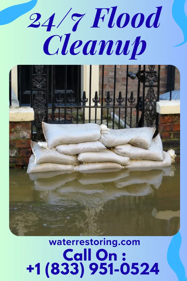 24/7 Flood Cleanup in Ty Ty, GA