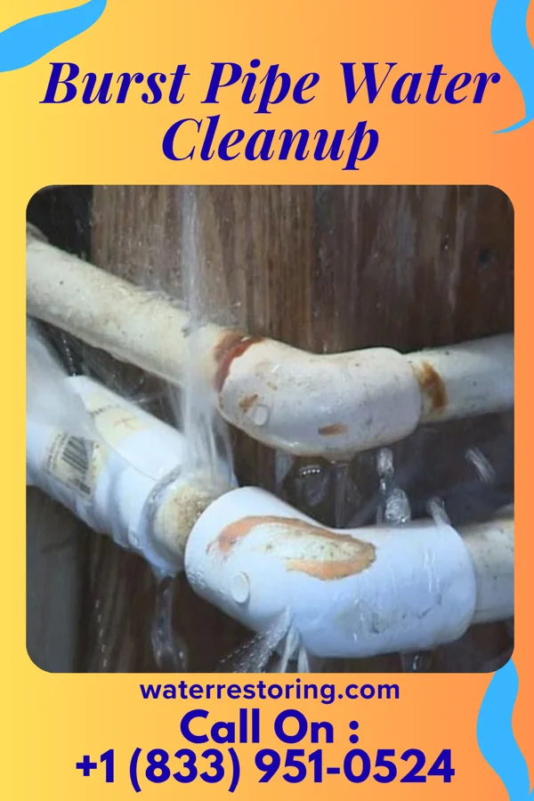 Burst Pipe Water Cleanup in Ty Ty, GA