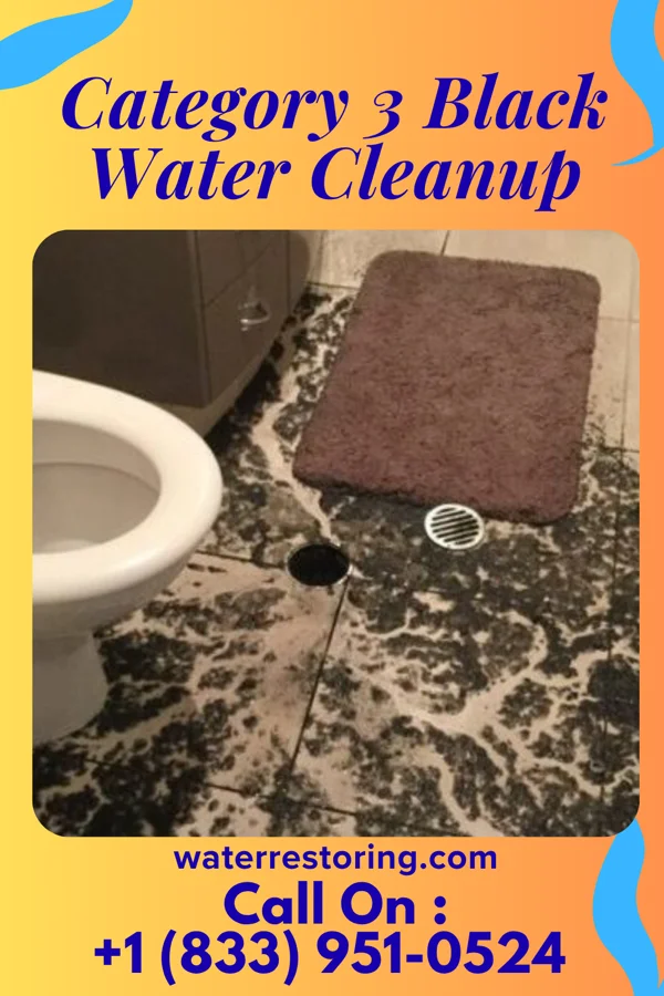 Category 3 Black Water Cleanup in Ty Ty, GA