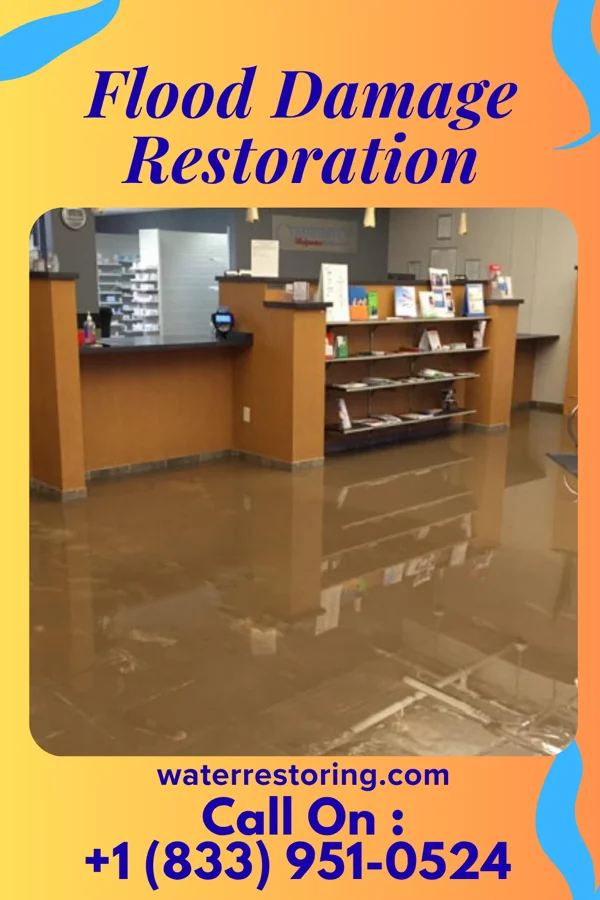 Flood Damage Restoration in Ty Ty, GA