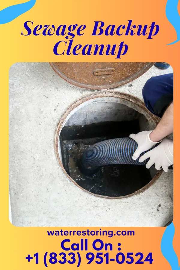 Sewage Backup Cleanup in Ty Ty, GA